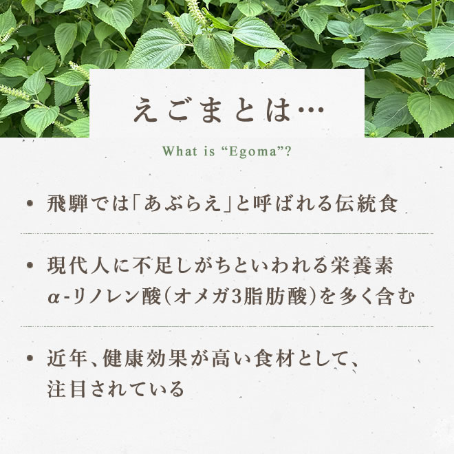 えごまとは飛騨で「あぶらえ」と呼ばれる伝統食