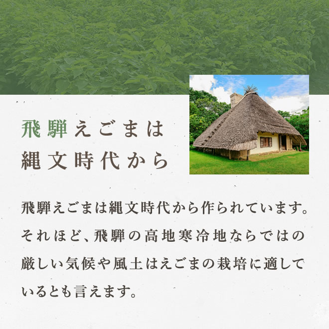 飛騨えごまは縄文時代から