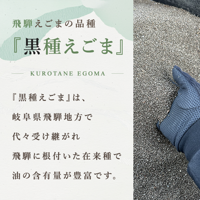 黒種えごま